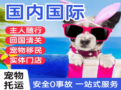 盐城国际宠物托运 【国